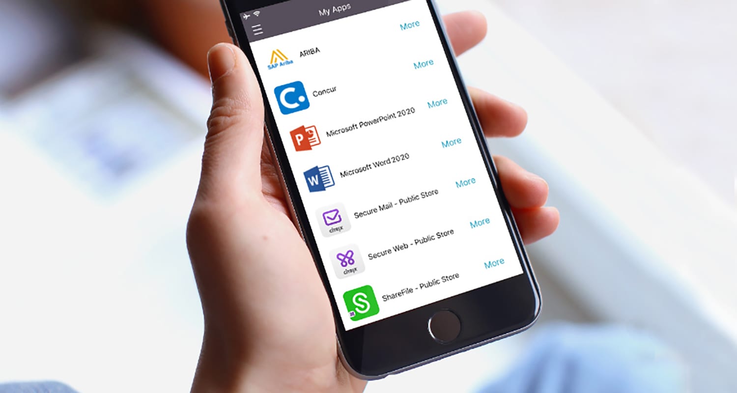 Workforce Mobility with Citrix