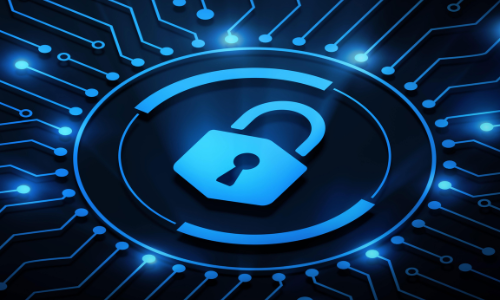 Use Managed Cyber Security Services to Master Risk Management